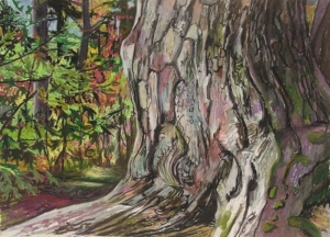 Pine Trunk